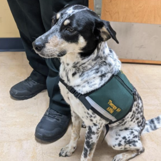 Liberty County Sheriff's Office announces first Therapy K9 in the Big